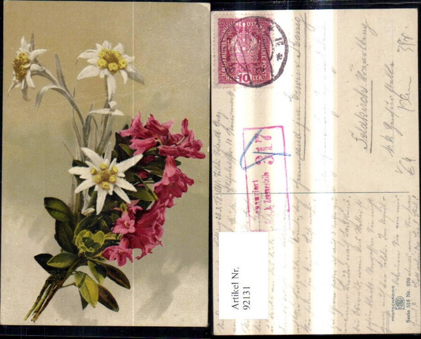 92131,Photochromie Nenke & Ostermaier 516/870 Edelweiß Blume