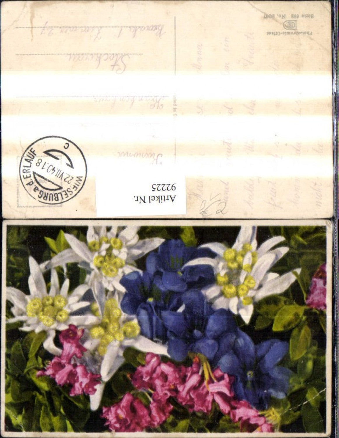92225,Photochromie Nenke & Ostermaier 692/2607 Alpenrose Edelweiß Enzian Blumen