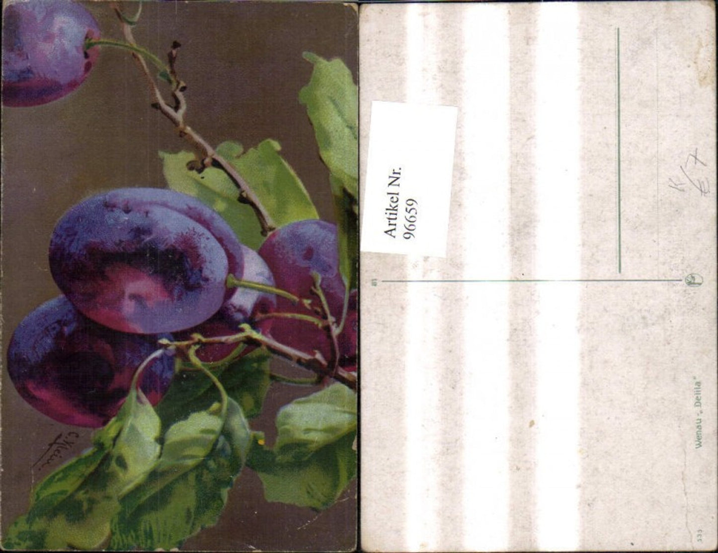 96659,Künstler Ak Catharina Klein Zwetschken Zwetschge Pflaumen Zweig Früchte Obst