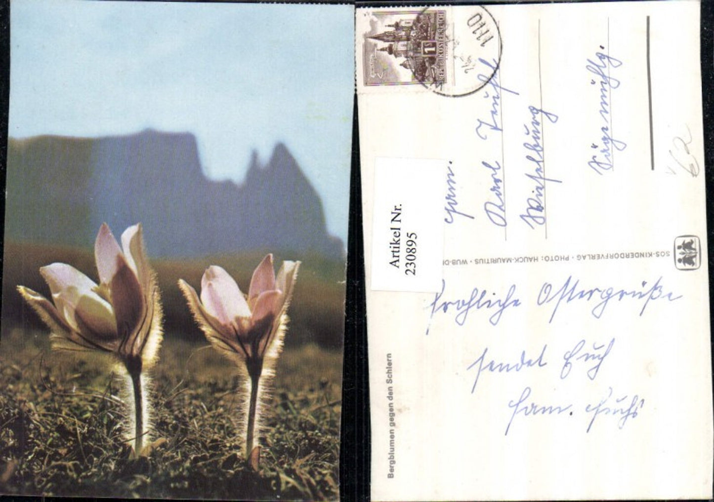 230895,SOS Kinderdorf Bergblumen Detailansicht geg. d. Schlern
