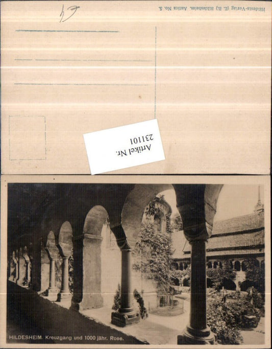 231101,Hildesheim Kreuzgang Kloster Arkaden u. 1000 jährige Rose