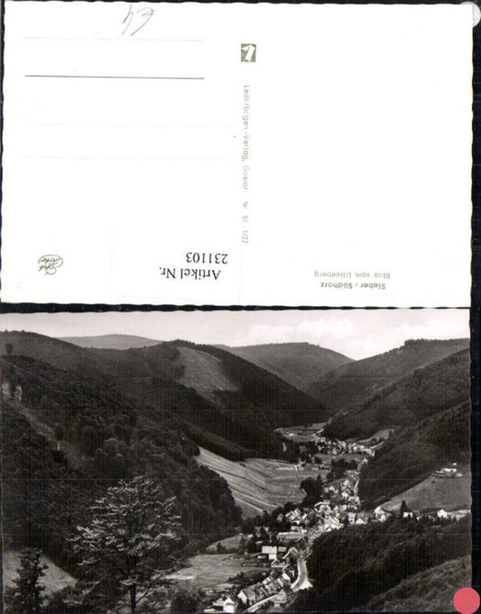 231103,Sieber im Südharz Totale Blick v. Lilienberg