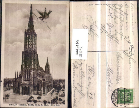 231387, Ulm on the Danube Münster Church Bird