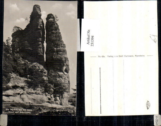 231394,The Wachtfelsen near Dahn Bride and Groom