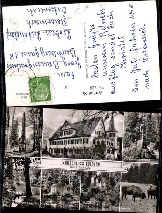 231728,Jagdschloss Eulbach über Erbach Obelisk Denkmal d. Grafen Eberhard Ruine Kapelle Wisente Mehrbildkarte