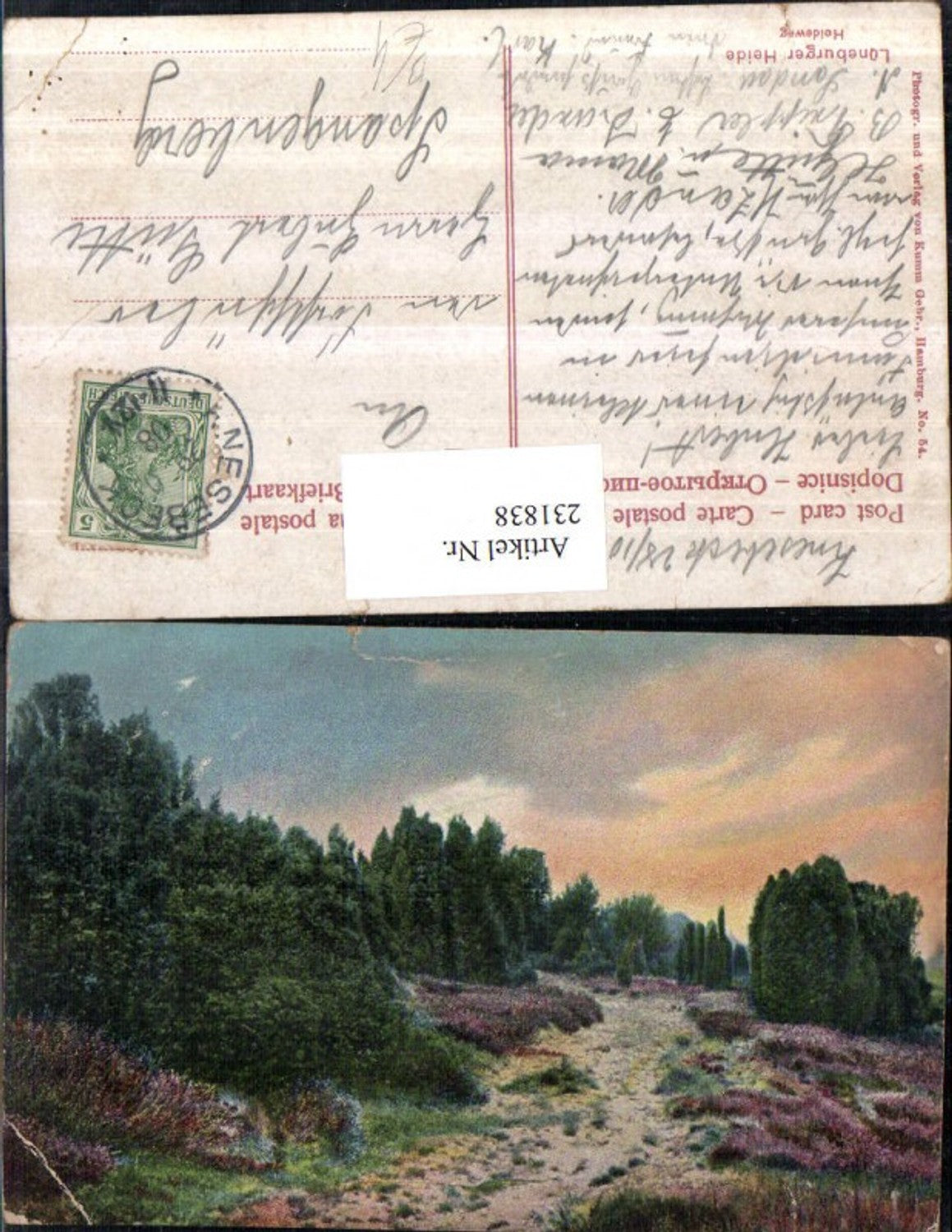 231838,Lüneburger Heide Heideweg Partie