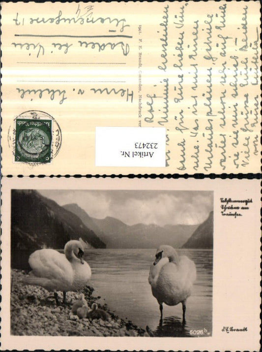 232473,Gmunden Schwäne am Traunsee pub F. E. Brandt 5026 b