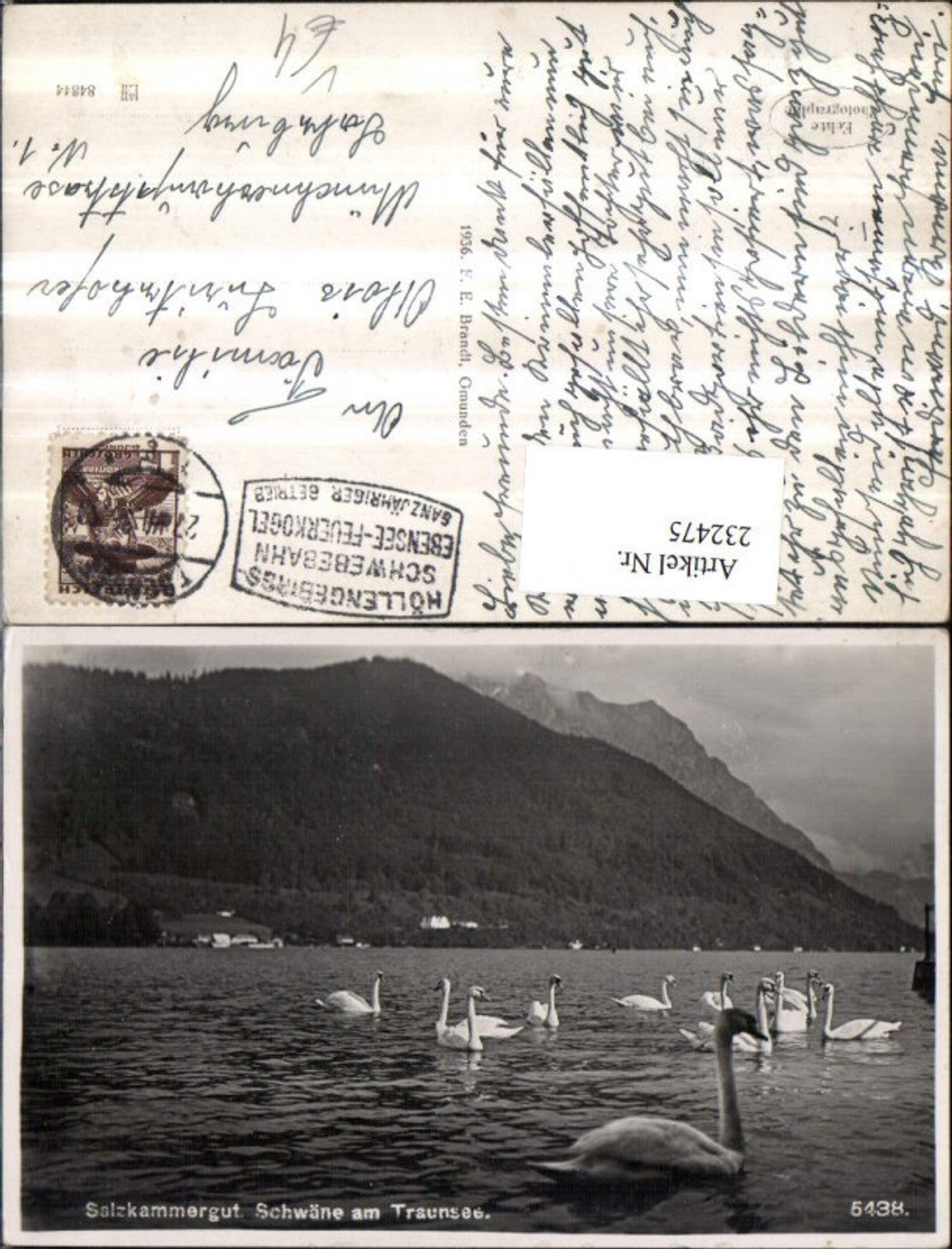 232475,Gmunden Schwäne am Traunsee Bergkulisse pub F. E. Brandt 5438