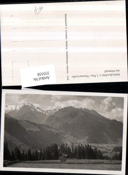 233358,Hollersbachtal v. d. Pass-Thunerstraße b. Mittersill Partie