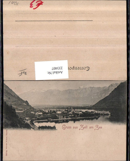 233407,Gruß au Zell am See Totale