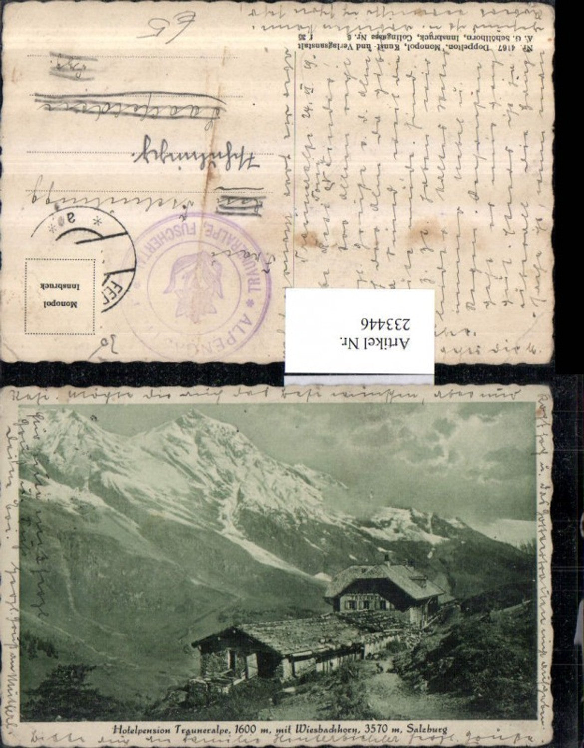 233446,Hotelpension Trauneralpe m. Wiesbachhorn Berghütte