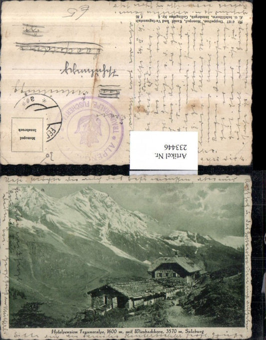 233446,Hotelpension Trauneralpe m. Wiesbachhorn Berghütte
