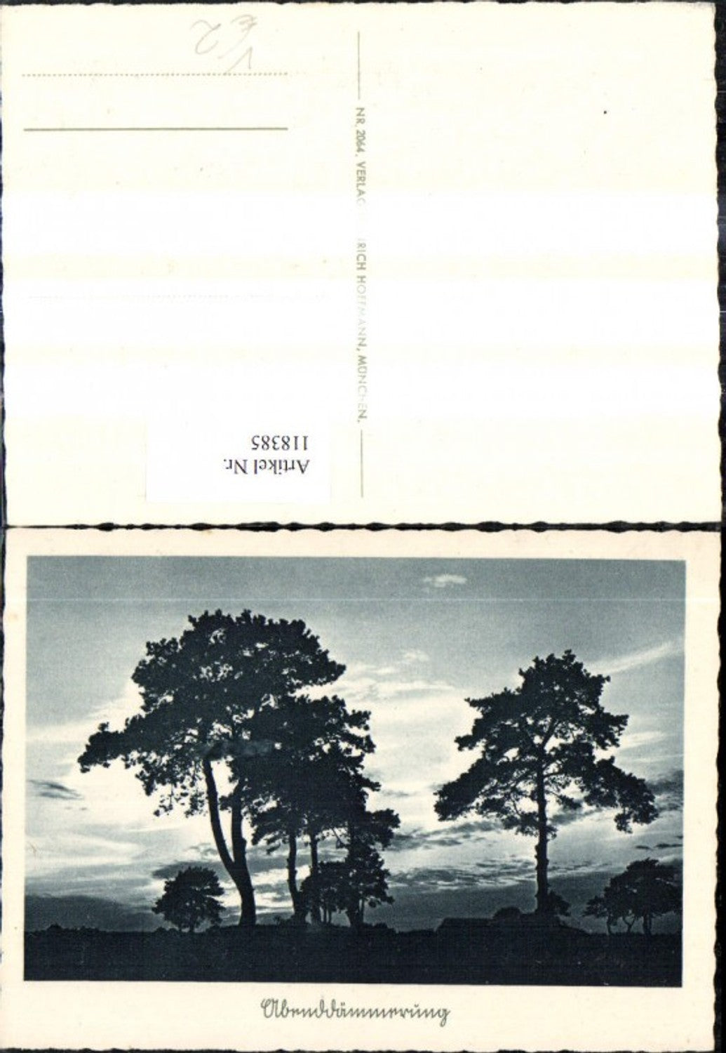 118385,Abendstimmung Bäume Landschaft pub Heinrich Hoffmann 2064
