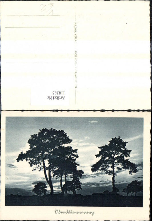 118385,Abendstimmung Bäume Landschaft pub Heinrich Hoffmann 2064