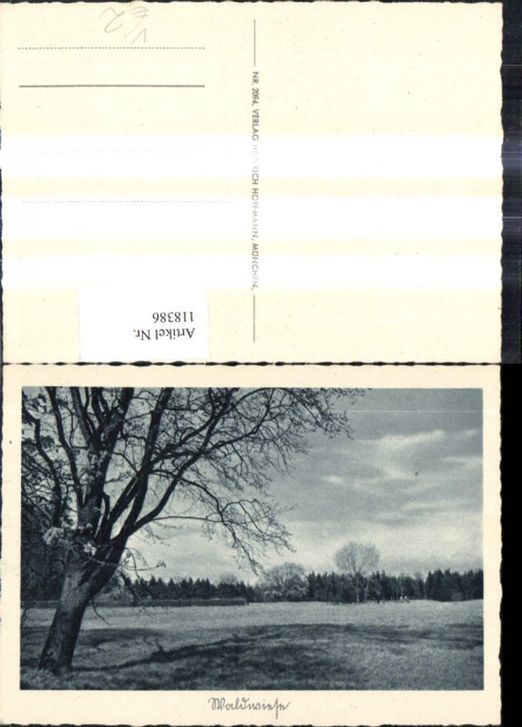 118386,Waldansicht Landschaft Wald Bäume pub Heinrich Hoffmann 2094