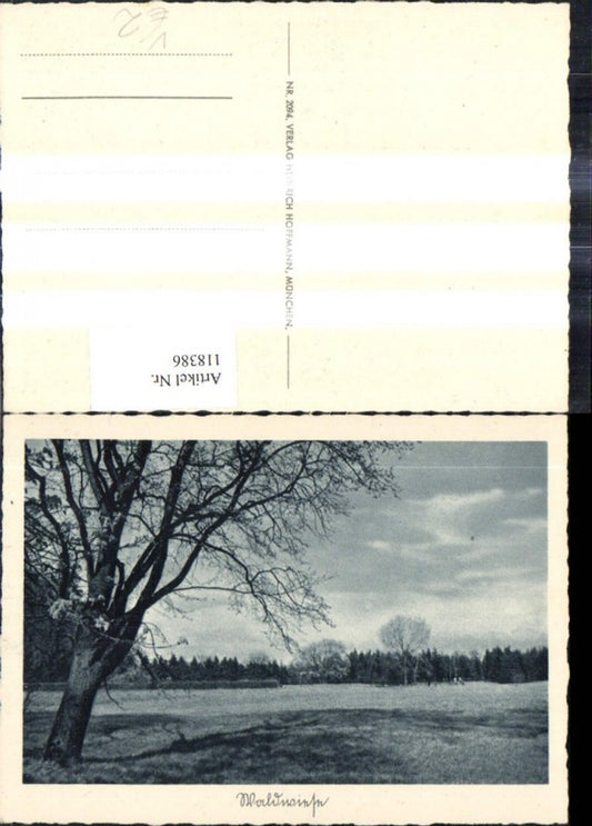 118386,Waldansicht Landschaft Wald Bäume pub Heinrich Hoffmann 2094