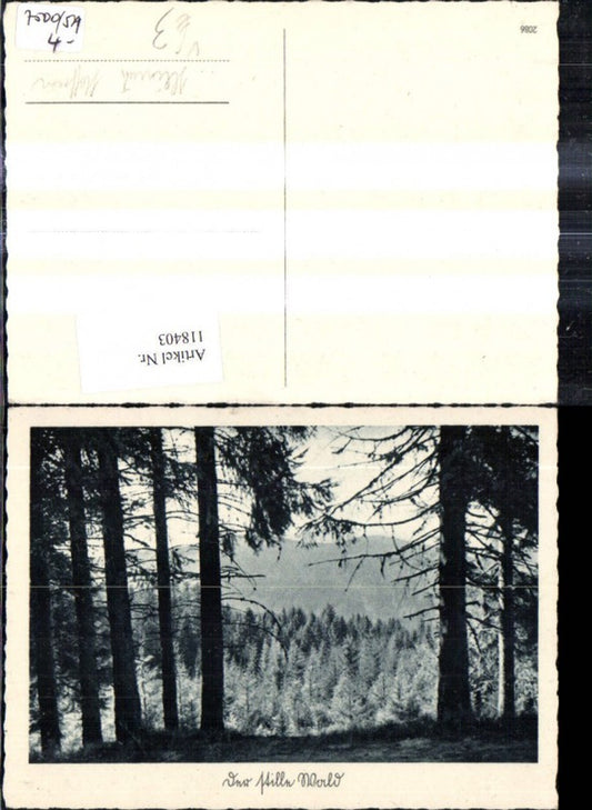 118403,Foto Ak Im stillen Wald Landschaft Bäume pub Heinrich Hoffmann 2086