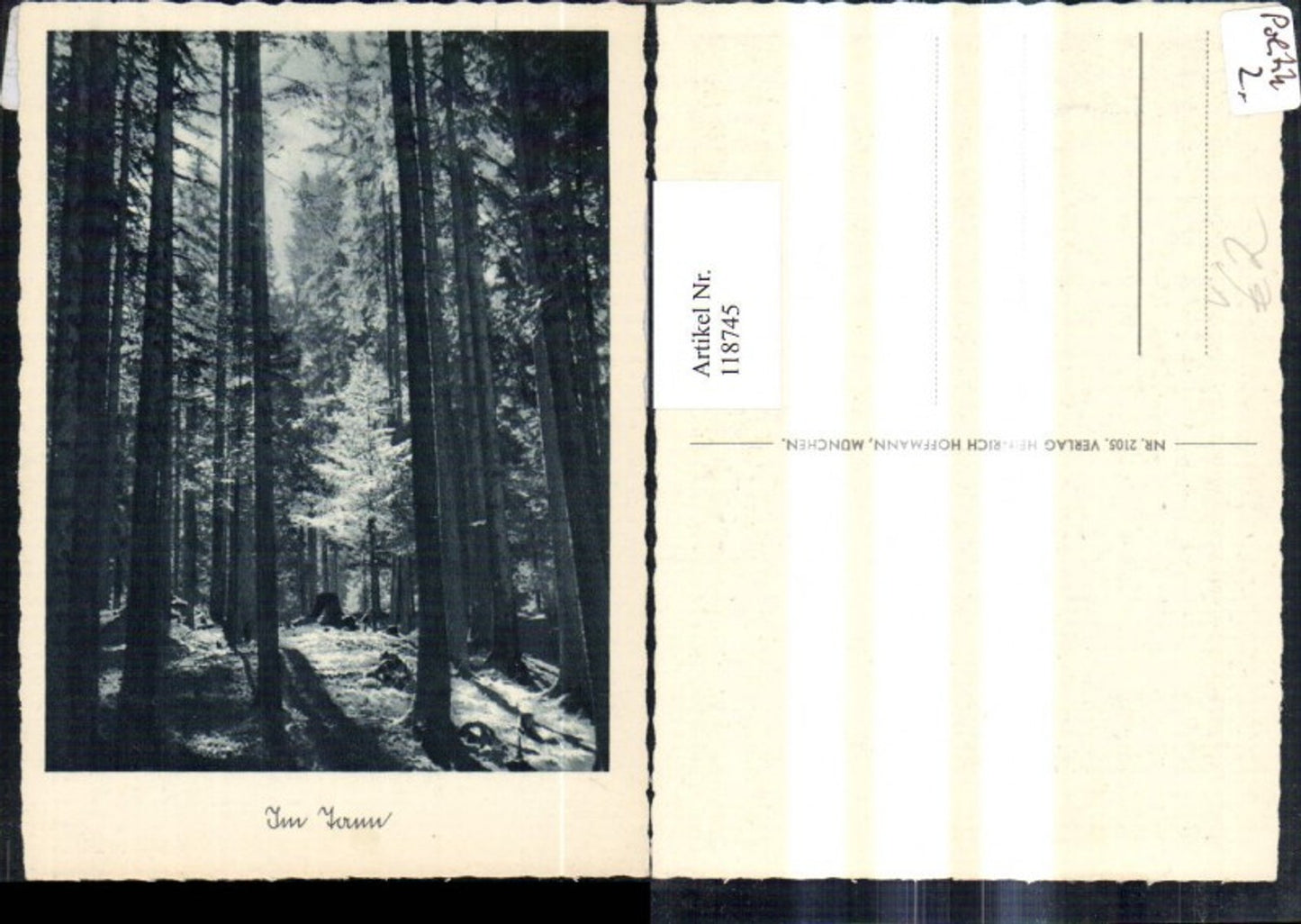 118745,Im Tann Wald Tannenwald pub Heinrich Hoffmann 2105
