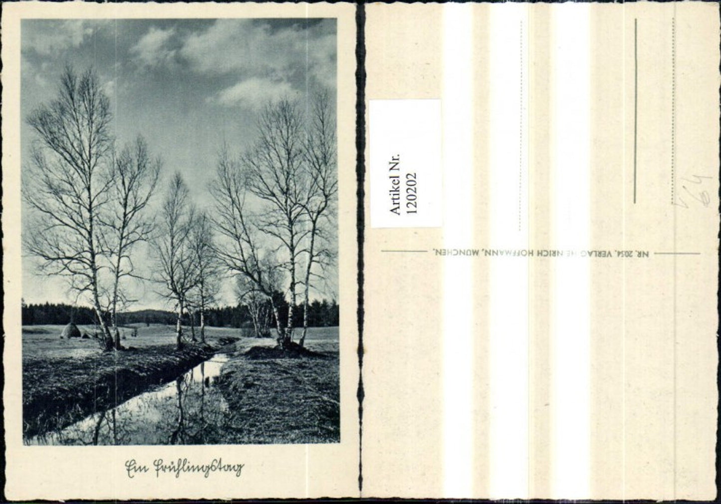 120202,Künstler Ak Ein Frühlingstag Birken Bäume a. Bach Landschaft pub Heinrich Hoffmann 2054