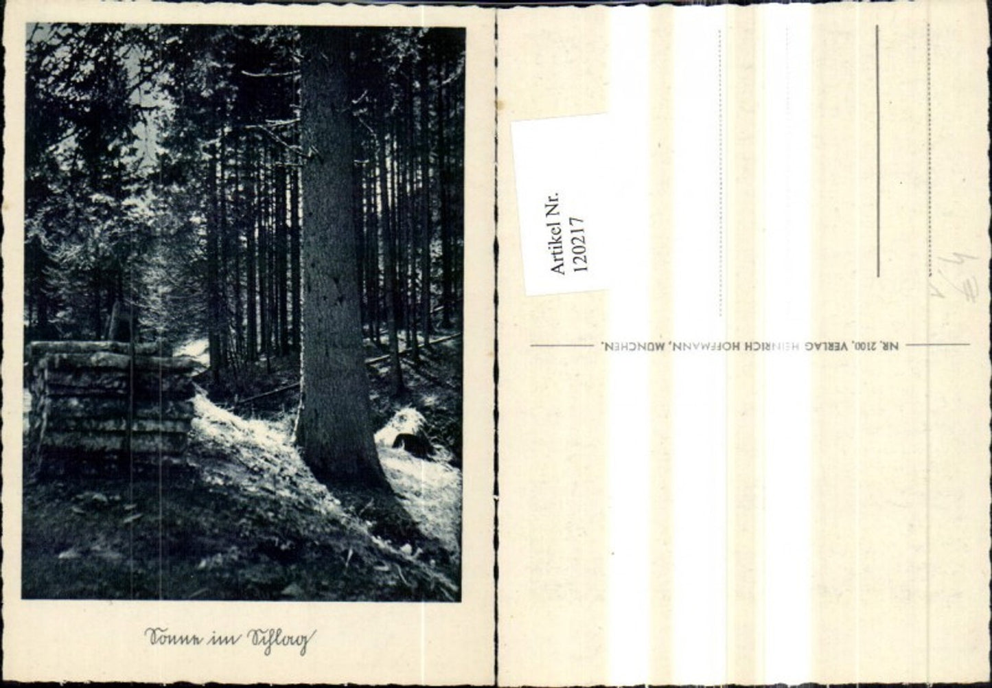 120217,Künstler Ak Sonne im Schlag Wald Holz pub Heinirch Hoffmann 2100