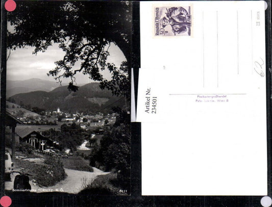 234501,Türnitz Totale