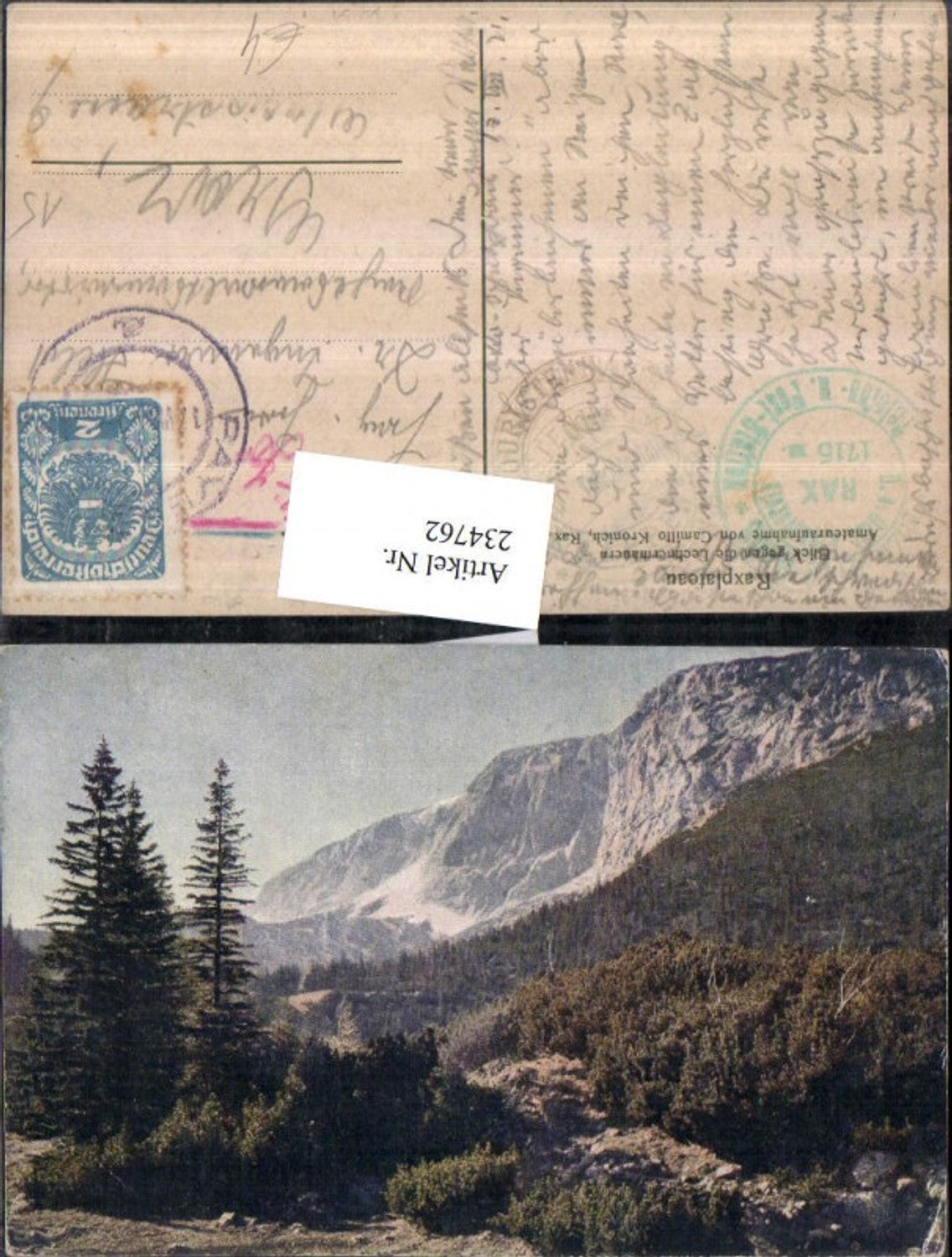 234762,Raxplateau Blick geg. d. Lechnermauern b. Reichenau