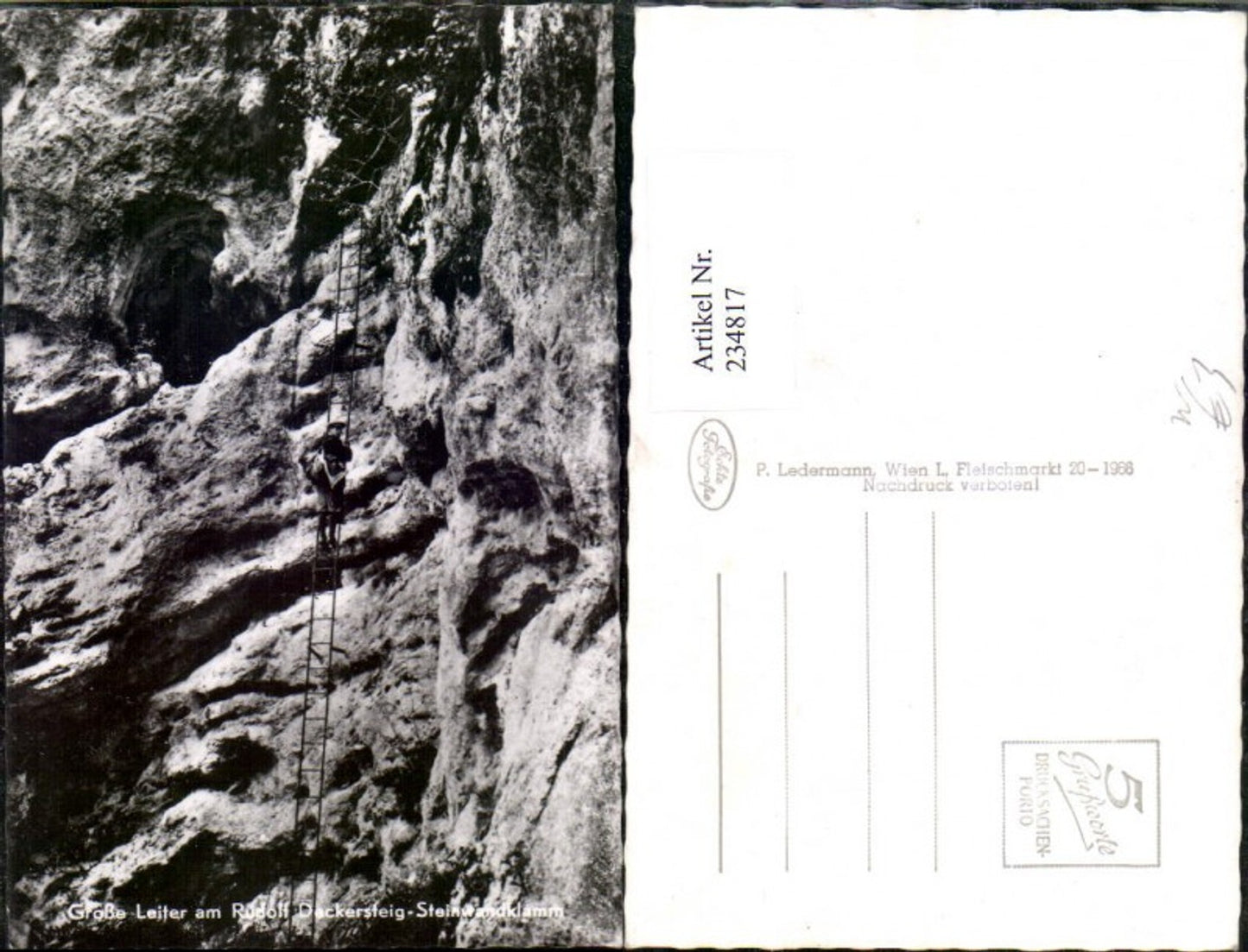 234817,Große Leiter am Rudolf Deckersteig Steinwandklamm b. Weissenbach an d. Triesting