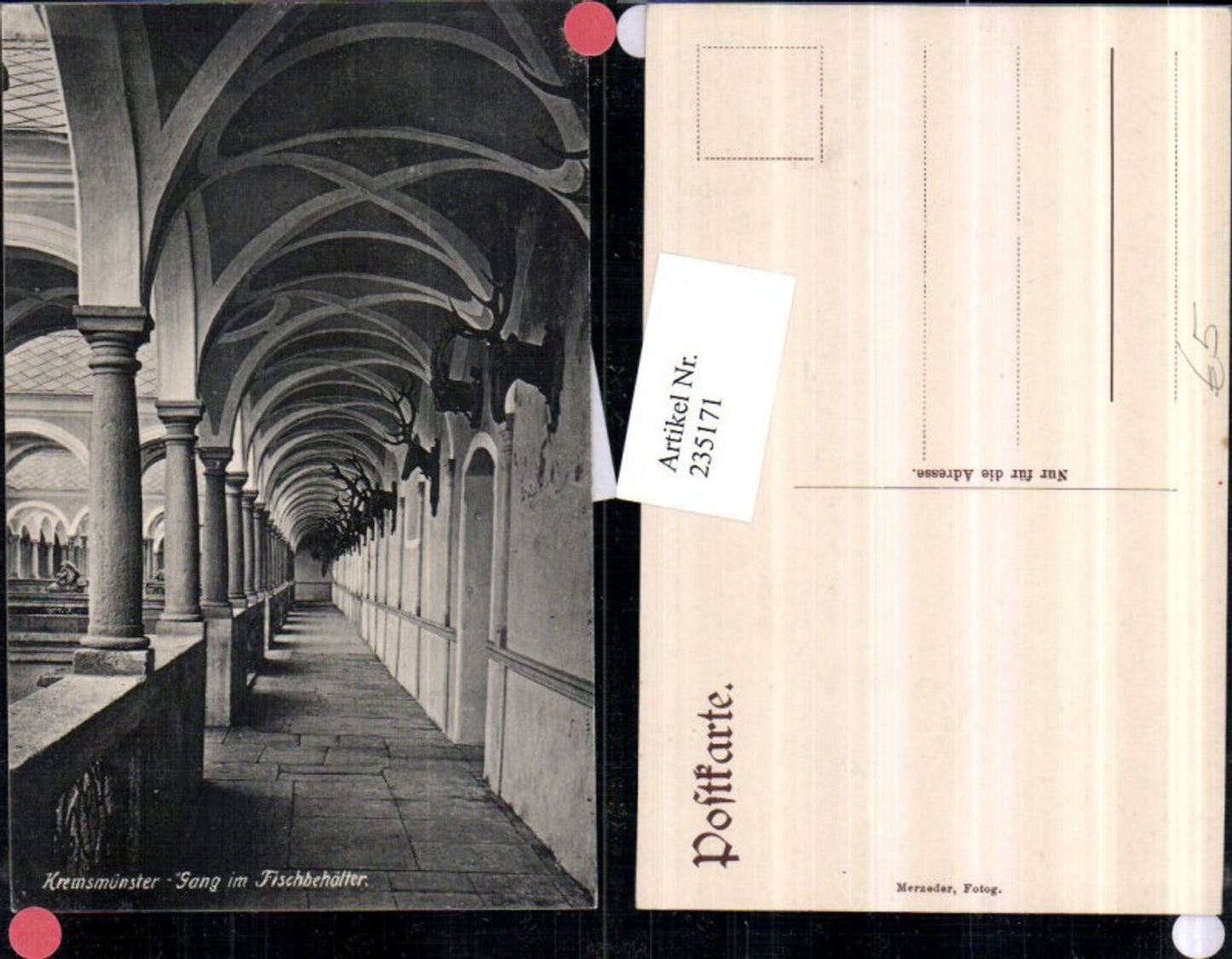 235171,Kremsmünster Gang im Fischbehälter