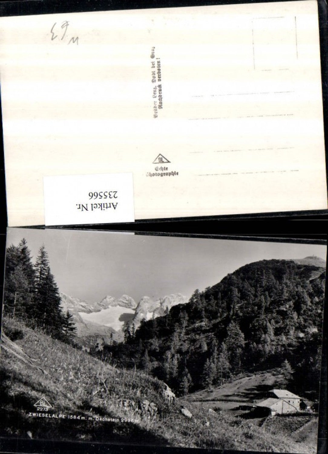 235566,Zwieselape m. Dachstein b. Gosau