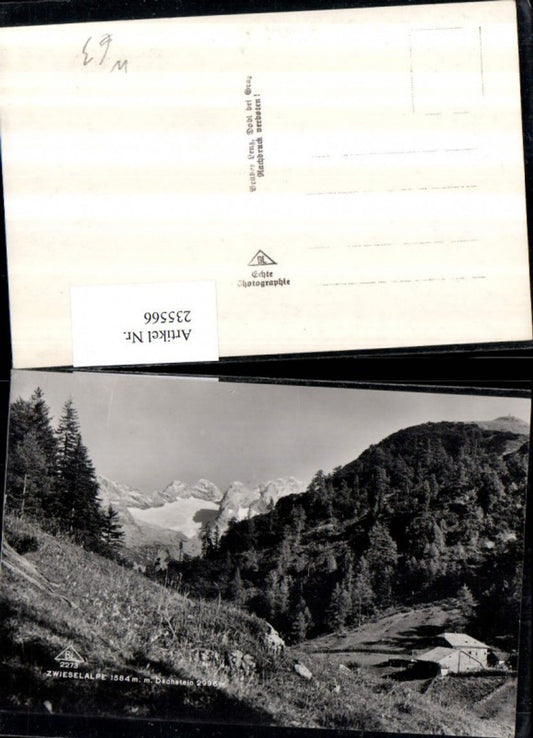 235566,Zwieselape m. Dachstein b. Gosau