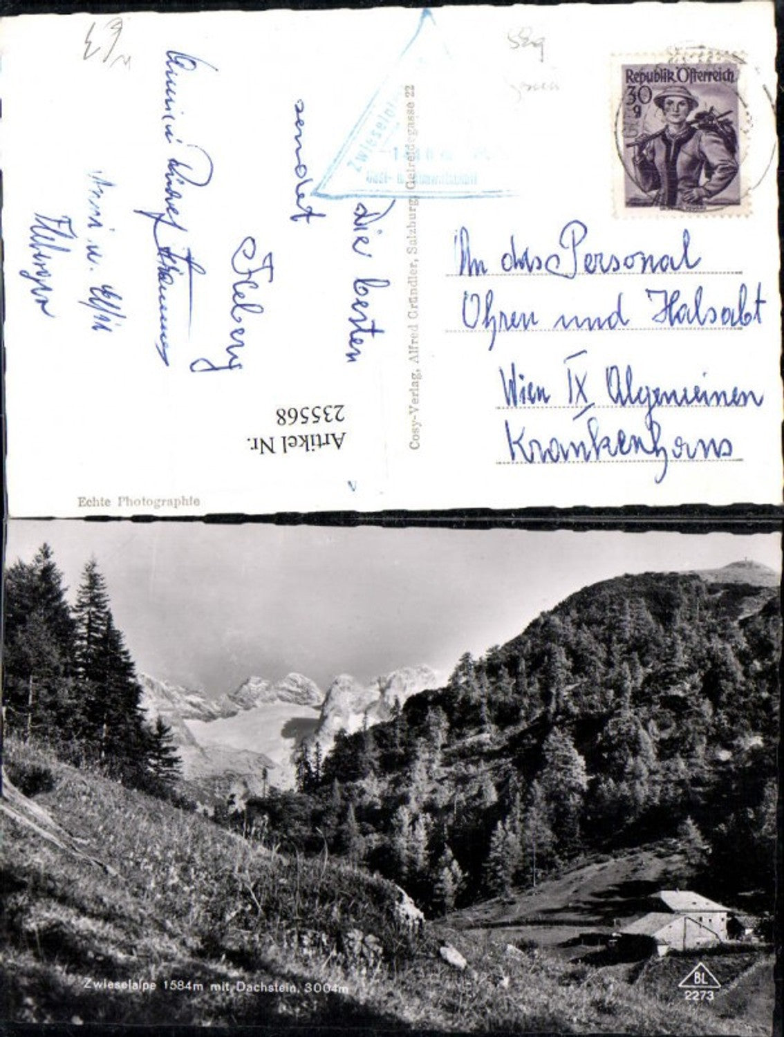 235568,Zwieselalpe m. Dachstein b. Gosau