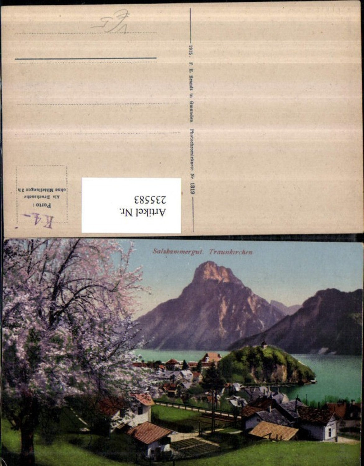 235583,Traunkirchen Totale geg. Traunstein pub F. E. Brandt 1319