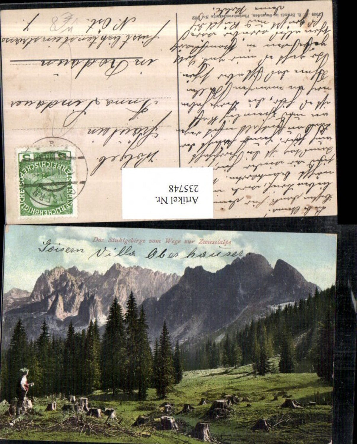 235748,Das Stuhlgebirge v. Wege zur Zwieselalpe Bergkulisse b. Goisern pub F. E. Brandt 342