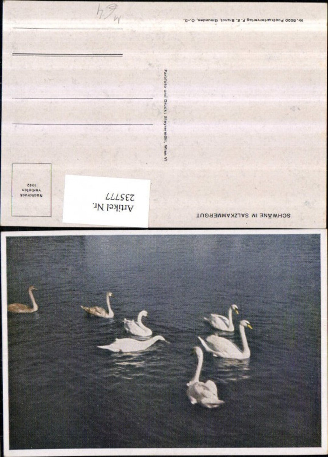 235777,Schwäne im Salzkammergut See pub F. E. Brandt 5020