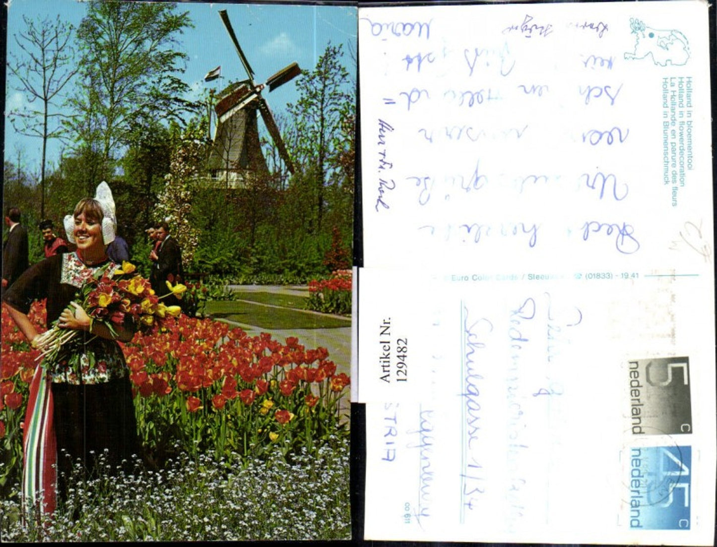 129482,Holland i. Blumenschmuck Windmühle Tulpen Blumen Frau Holländische Tracht