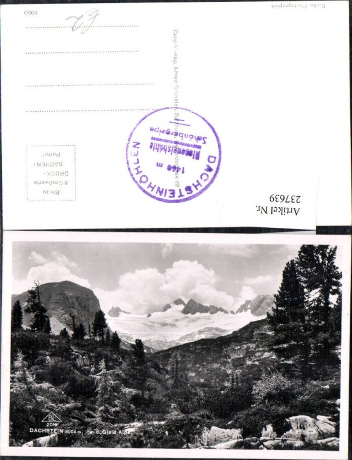 237639,Dachstein von d. Gjaid Alpe Bergkulisse b. Obertraun