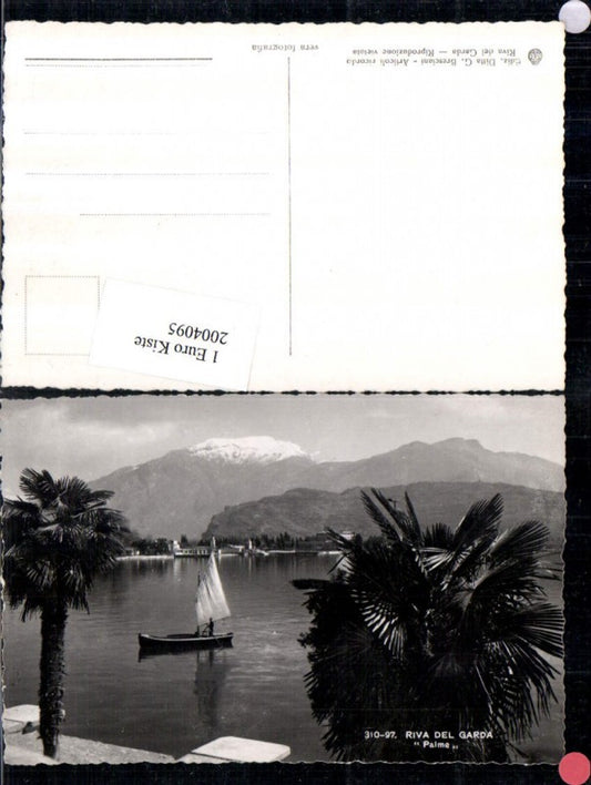 2004095,Riva del Garda Palme Partie Palmen Segelboot