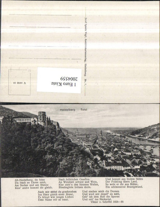 2004559,Heidelberg Totale m. Schloss Gedicht Text