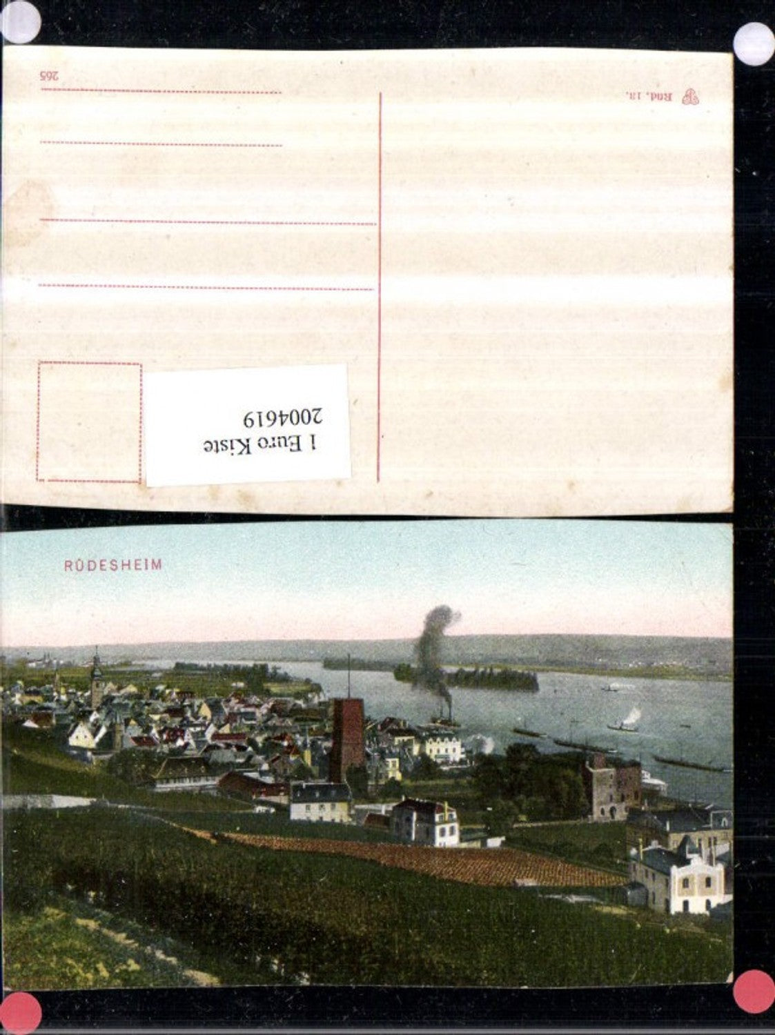 2004619,Rüdesheim a. Rhein Totale