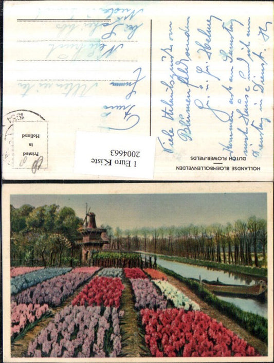 2004663,Künstler AK Hollandse Bloembollenvelden Holländische Blumenwiese Windmühle