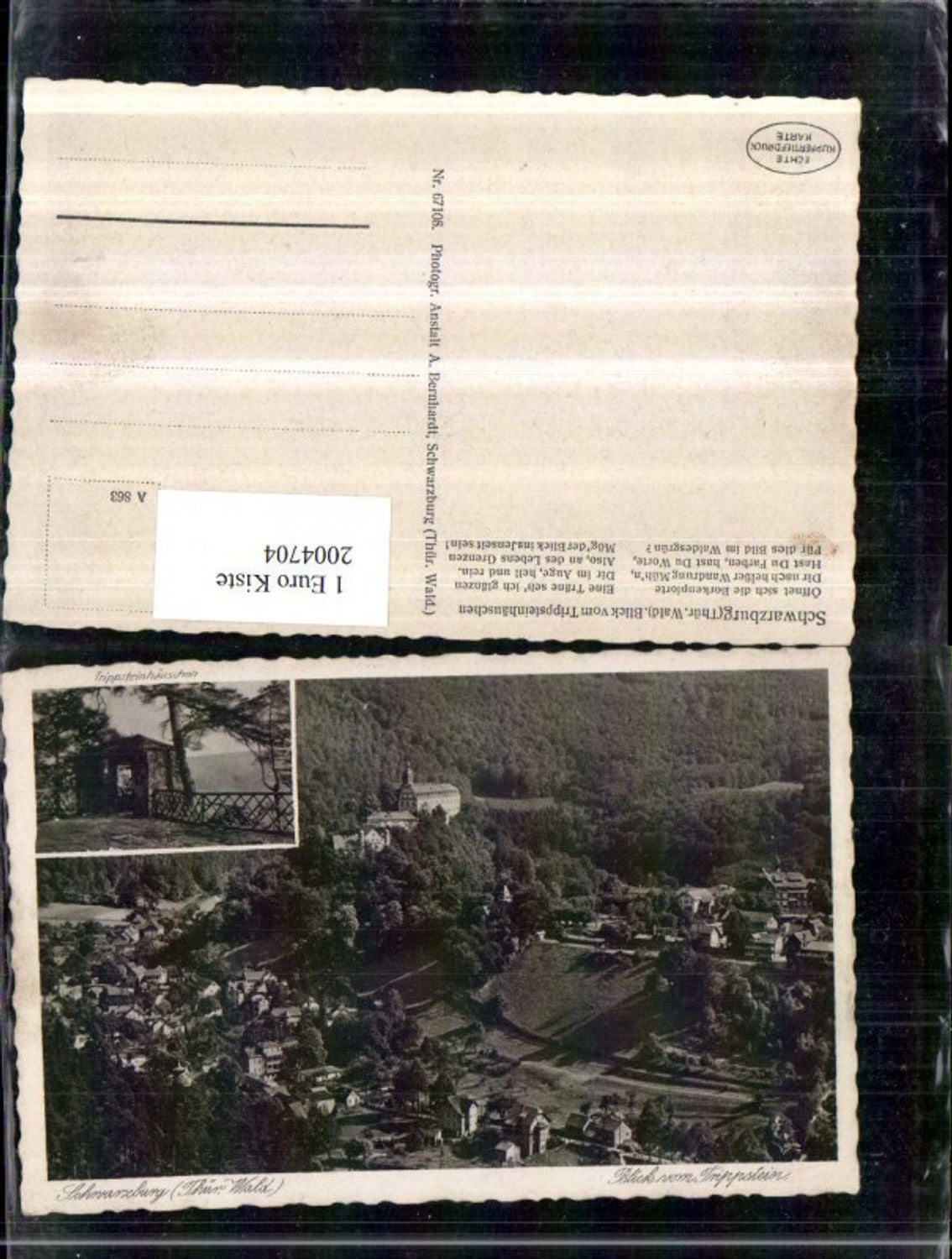 2004704,Schwarzburg im Thüringer Wald Totale Blick v. Trippstein Trippsteinhäuschen Mehrbildkarte