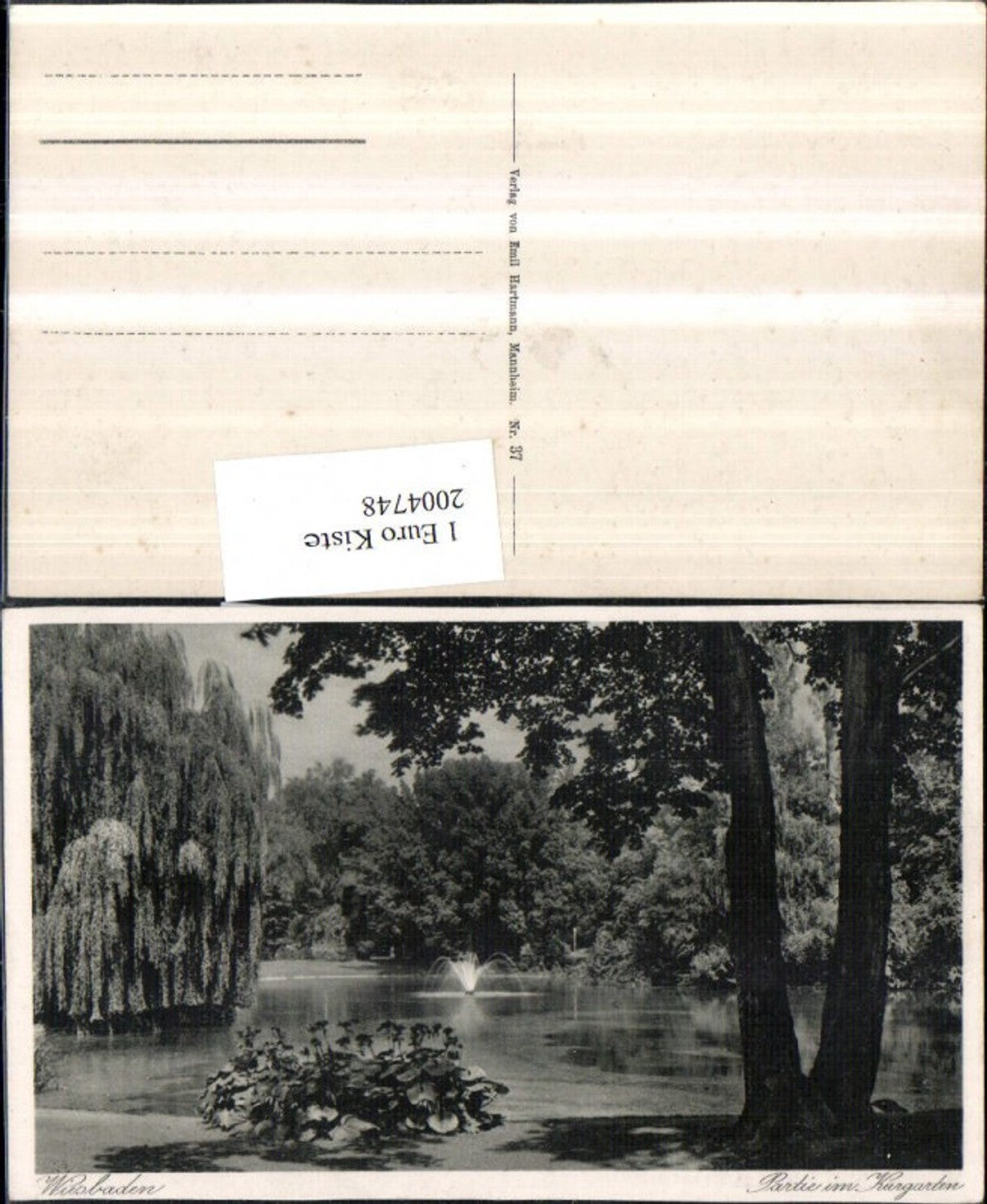 2004748,Wiesbaden Partie im Kurgarten Springbrunnen