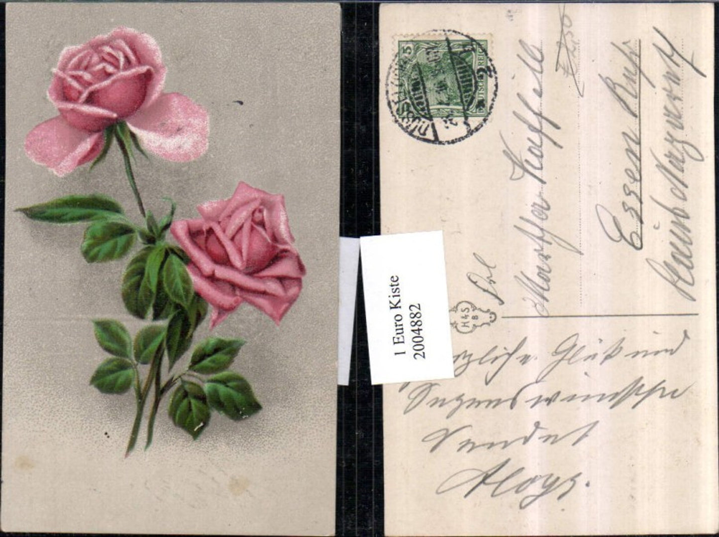 2004882,Rosen Rosenblüte