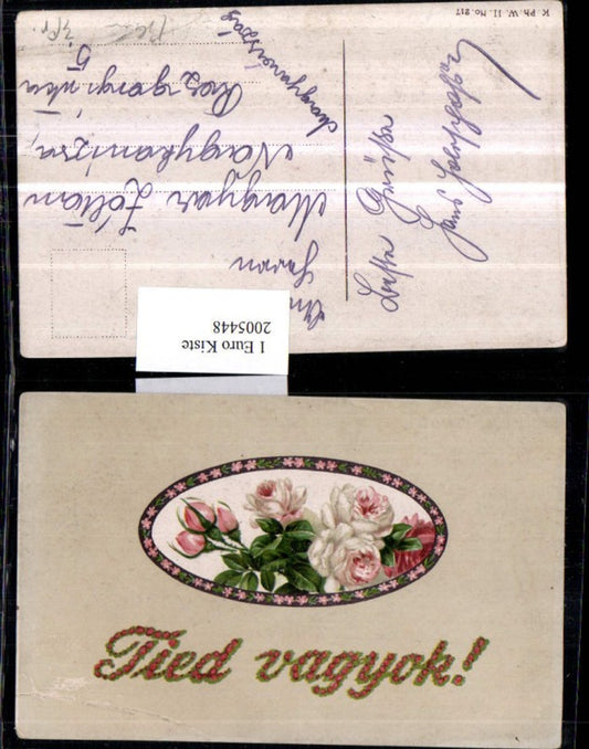 2005448,Tied vagyok Rosen Rosenblüten