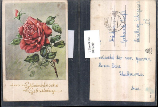 2005709,Geburtstag Rose Rosenblüte Knospe
