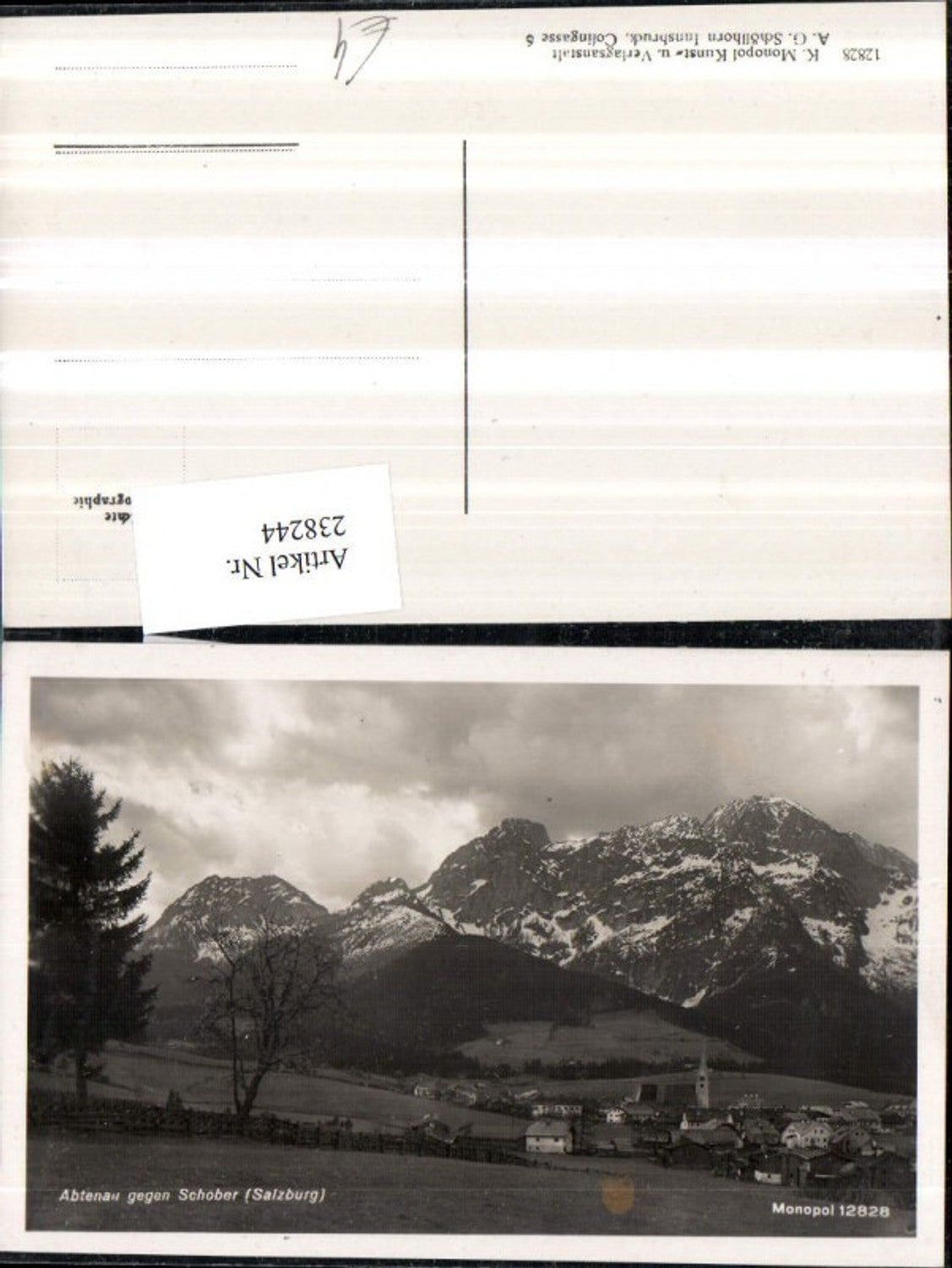 238244,Abtenau Totale geg. Schober