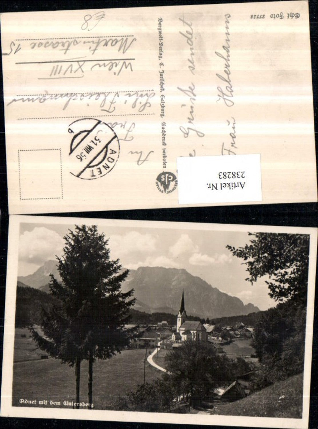 238283,Adnet Totale m. d. Untersberg
