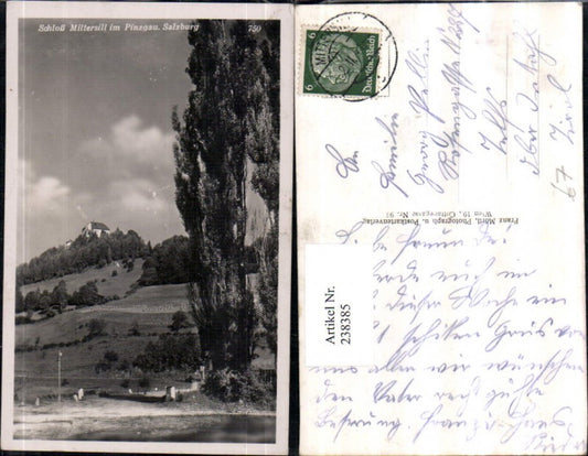 238385,Schloss Mittersill im Pinzgau Partie