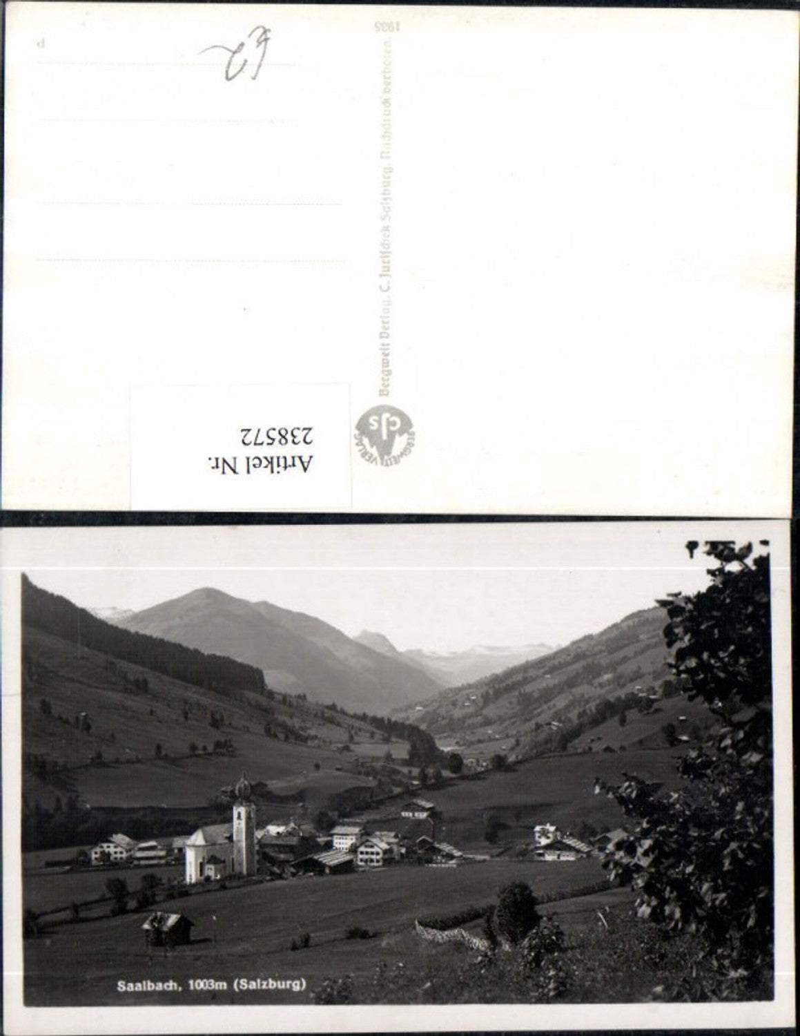 238572,Saalbach Totale