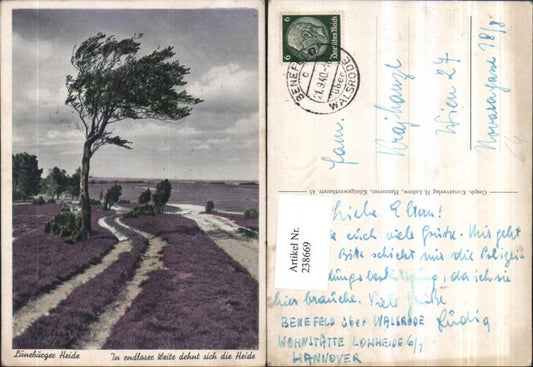 238669,Lüneburger Heide In endloser Weite dehnt sich die Heide Partie